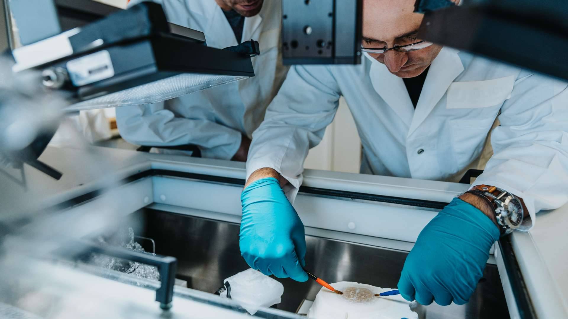 Lab grown organs