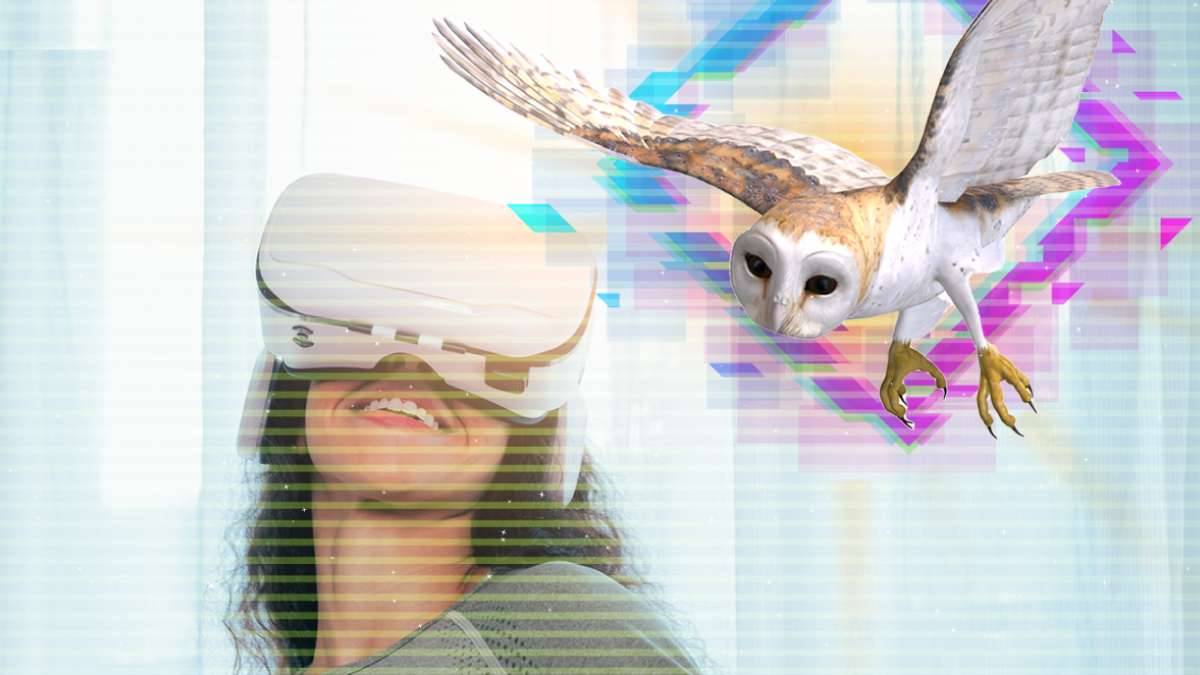 Keeping Pets in the Metaverse