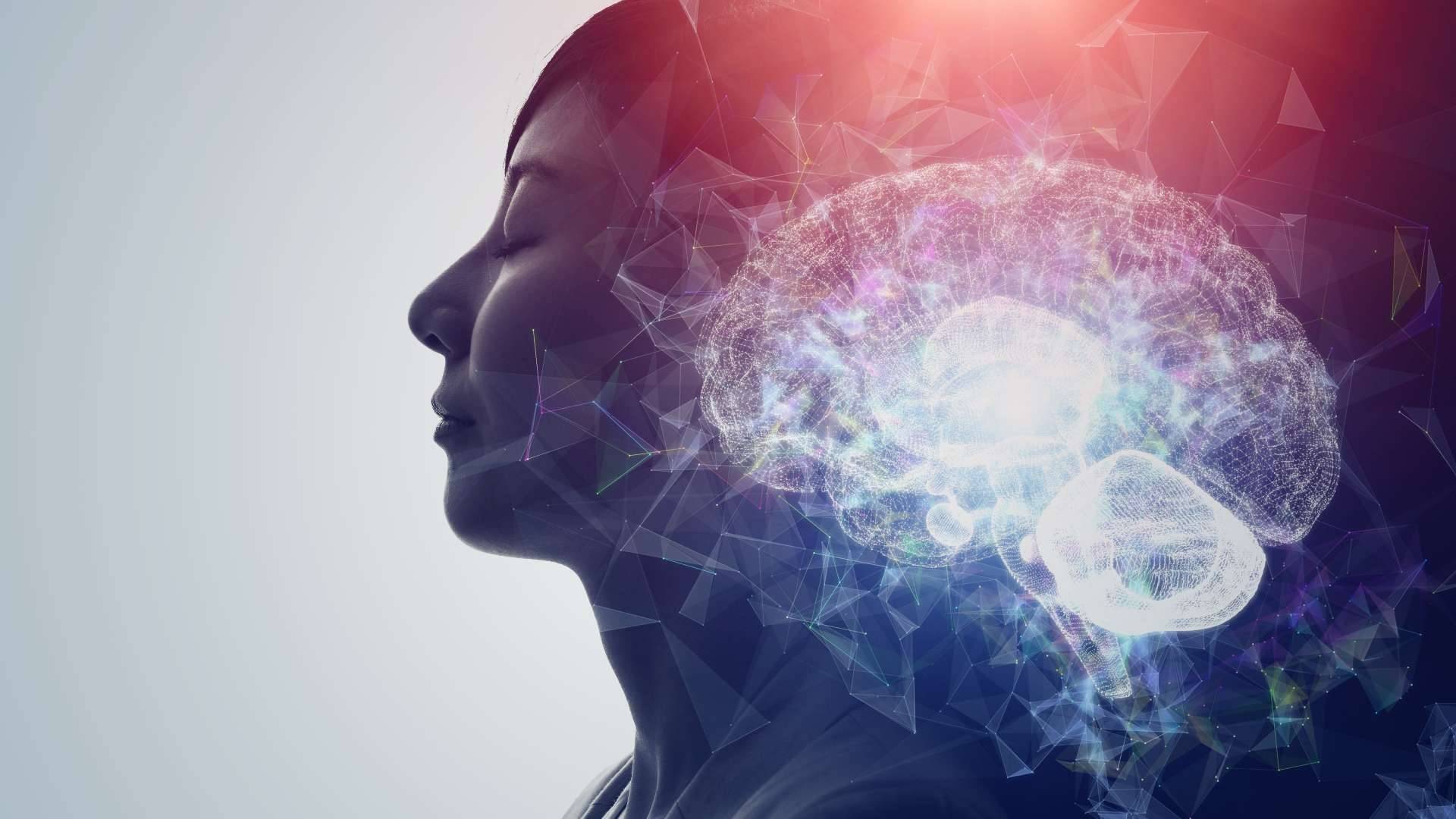 Designing Dreams with Neuroscience