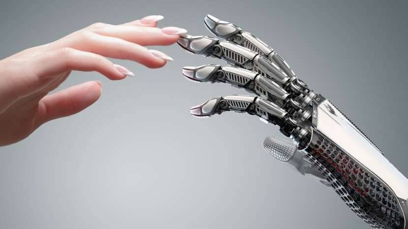 Human-Robot Relationship